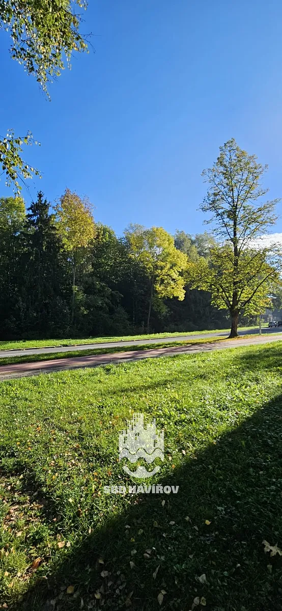 Fotka 15 z 16